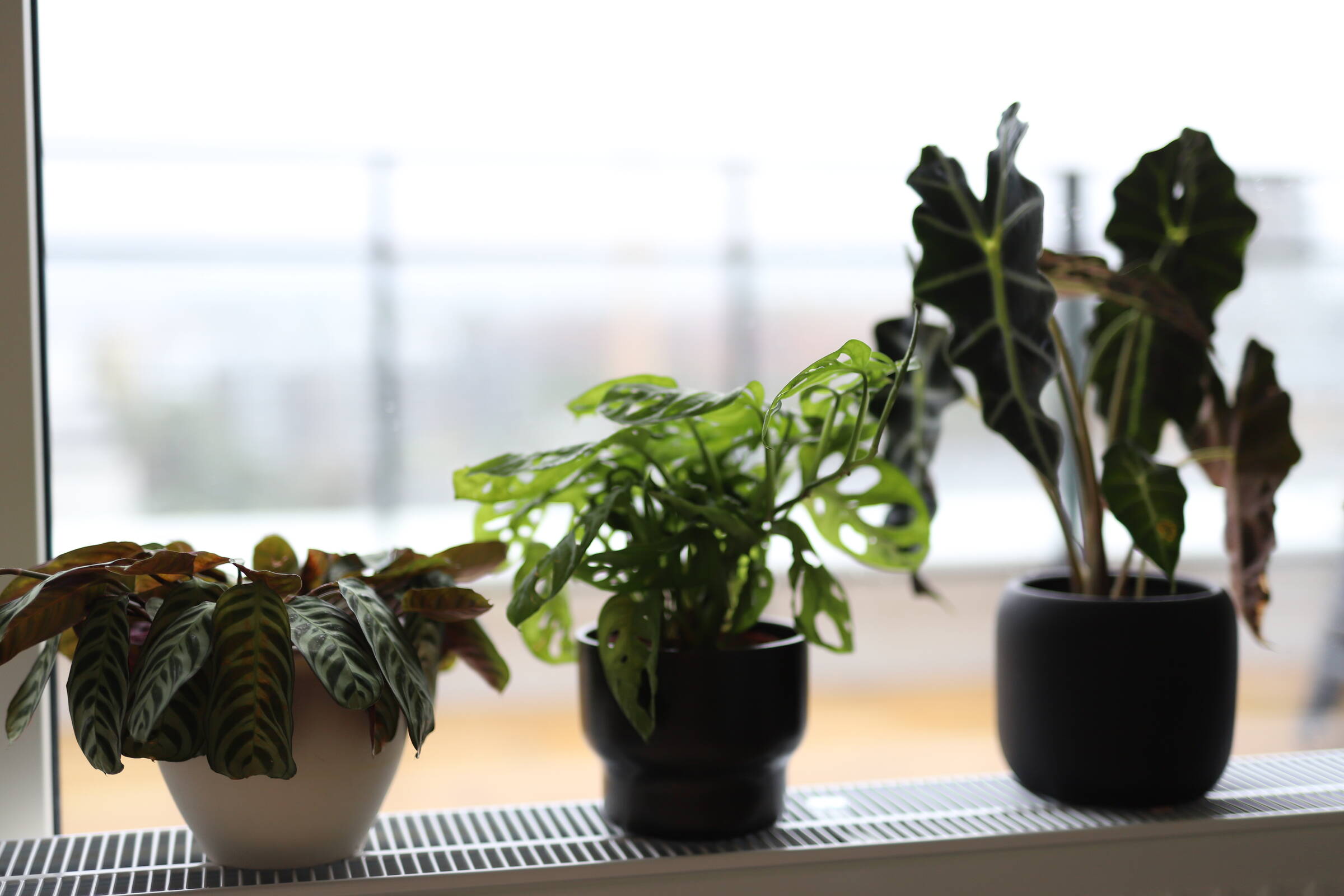 Nygatan 34, 231 43, Trelleborg 2