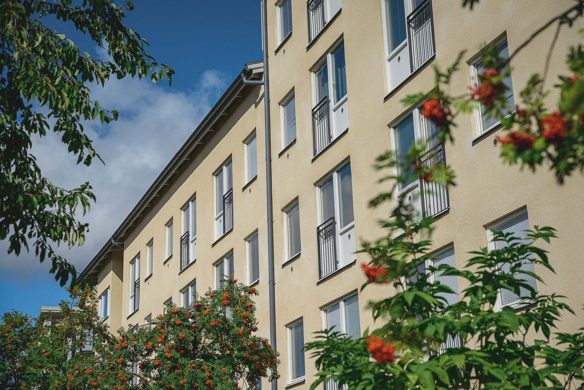 Tröskaregatan 10.407 3