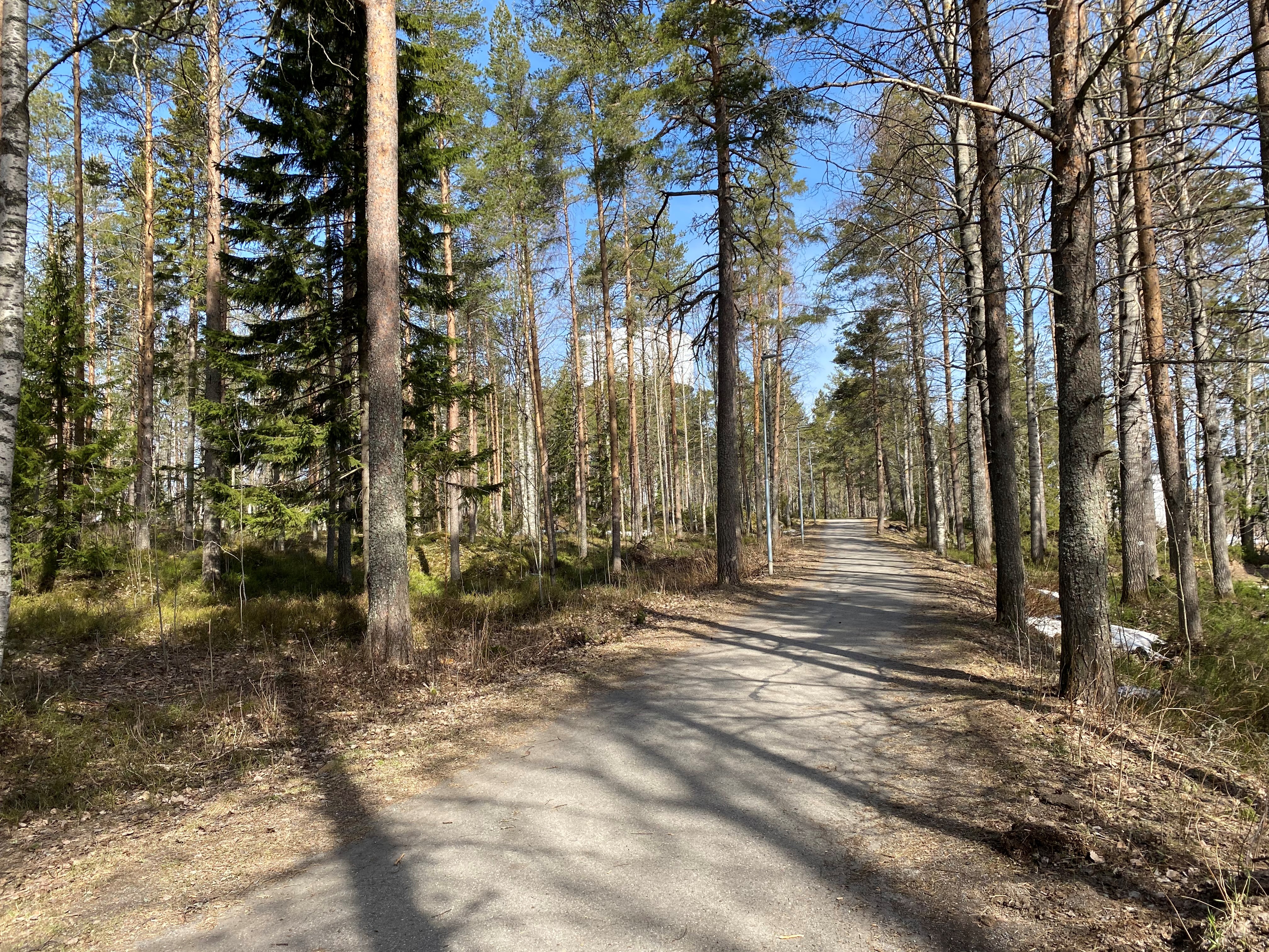 Mariehemsvägen 17 B, 906 53, Umeå 2